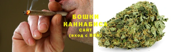 сатива Коряжма