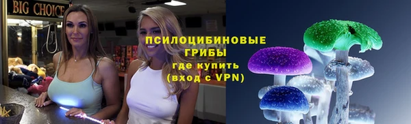 крисы Красноперекопск