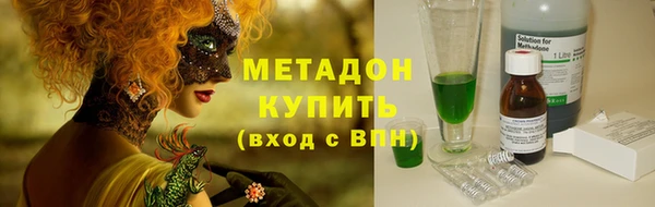 сатива Коряжма