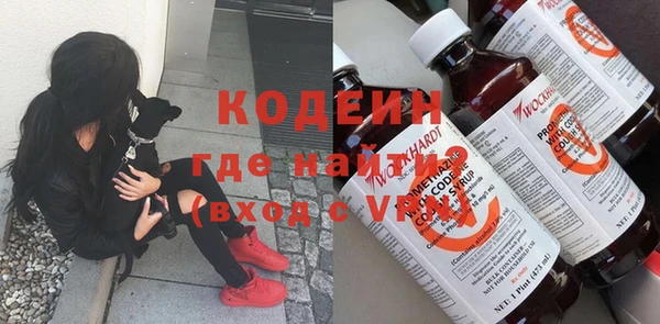 дживик Корсаков
