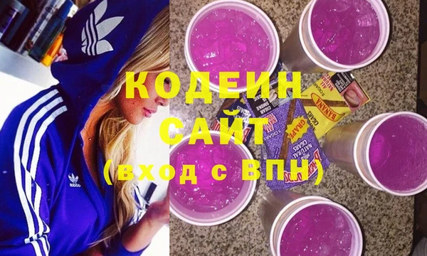 сатива Коряжма