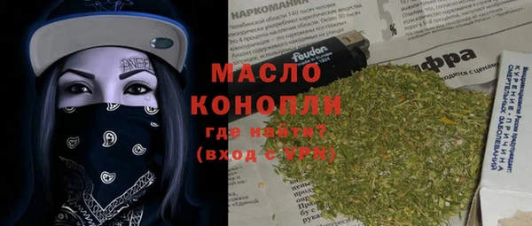 сатива Коряжма