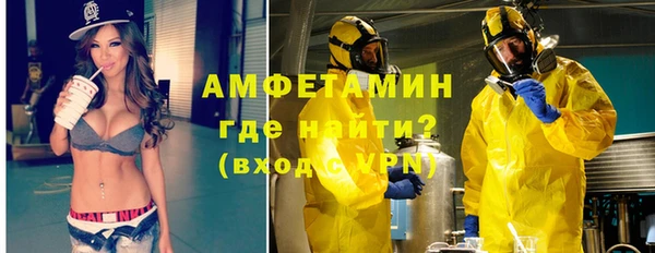 сатива Коряжма