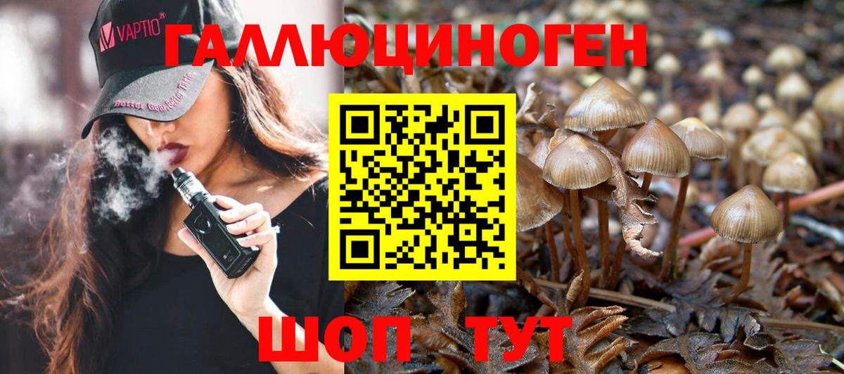 Псилоцибиновые грибы Cubensis Одинцово