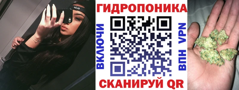 дарнет шоп  Одинцово  darknet состав  Конопля сатива 